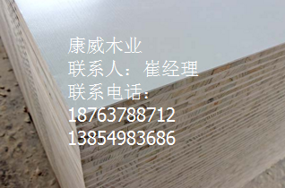 91视频男人的天堂