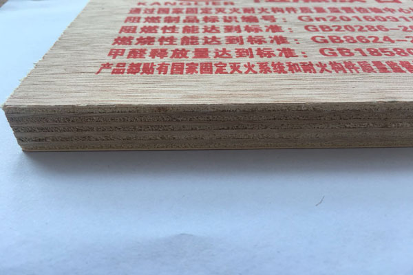 阻燃91视频男人的天堂