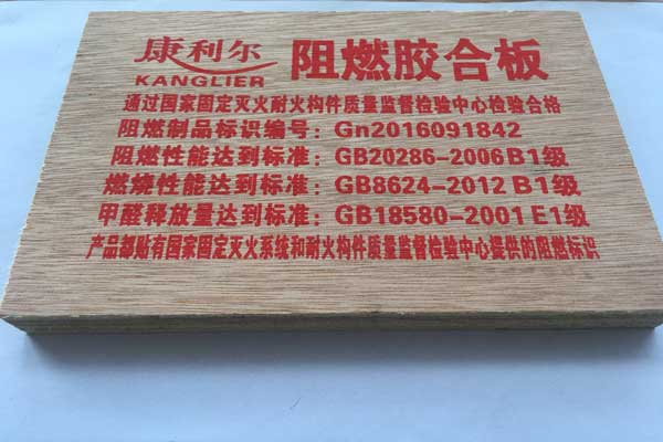 阻燃91视频男人的天堂