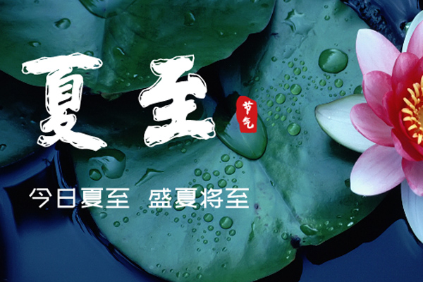 91视频网站免费看木业 | 盛夏已至,满目繁华